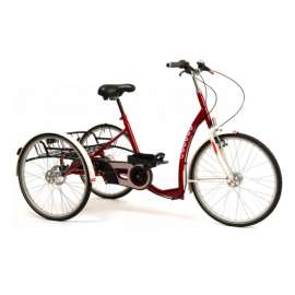 Tricycle handicap